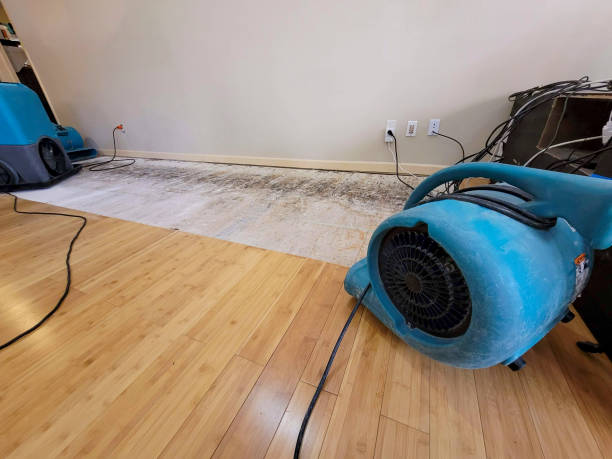 Professional Basement Flood Cleanup technician working in Rio Vista, TX